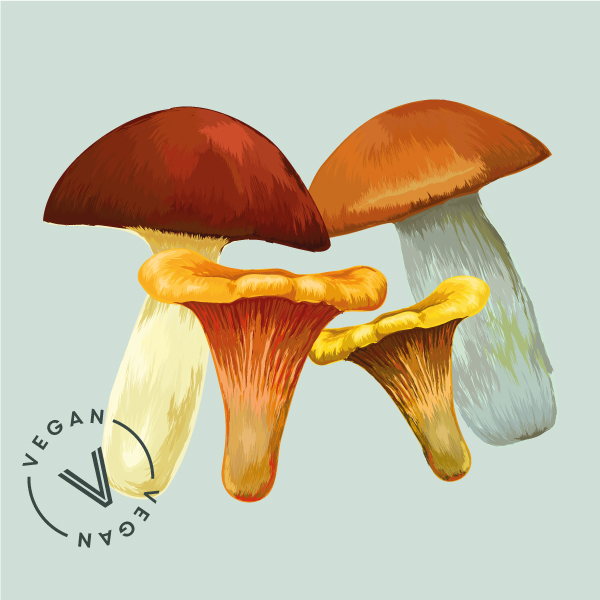 Mushroom_Strog Masthead
